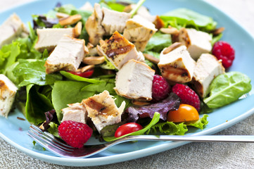 Healthy green salad with grilled chicken breast © Elenathewise