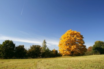 Fototapeta premium Autumn countryside