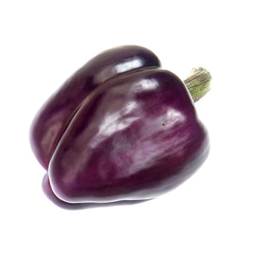 poivron violet