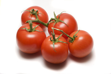 fresh raw red tomatoes on white background