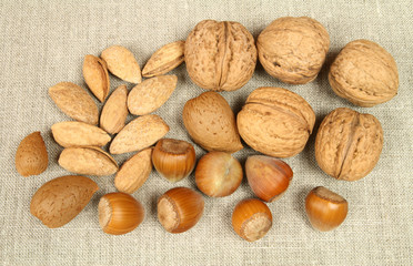 Walnuts, hazelnuts, pine nuts and almonds. Natural food.