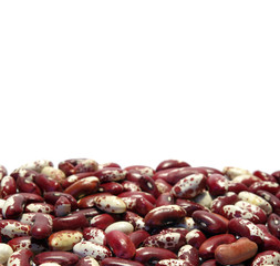 Bacground from kidney beans of diferent colors