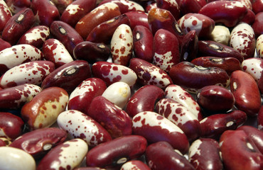 Bacground from kidney beans of diferent colours
