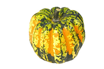 A colorful orange, yellow and green Carnival winter squash