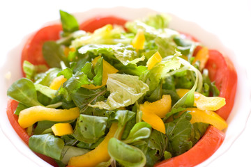 Bowl with mixed salad on white background