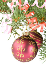 Fir tree branch with decoration on a white background.