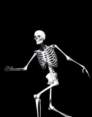 Active Skeleton