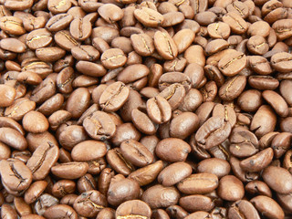 Grain coffee. Background for use in design