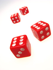 four playing roll the dice on  white background