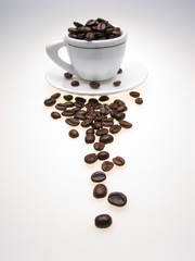 Coffee Grains and a Cup.