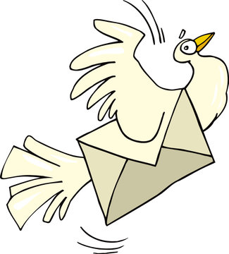 mail pigeon