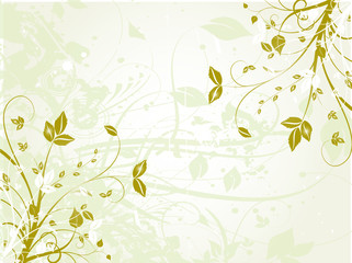 floral verte et ombre © bordeur