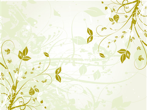 floral verte et ombre