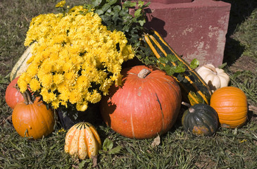 A collection of fall icons.
