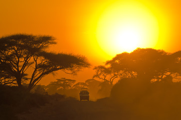 Fototapeta na wymiar jeep safari jazdy poprzez sawanny w zachodzie słońca