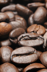 Close up of roasted coffee beans