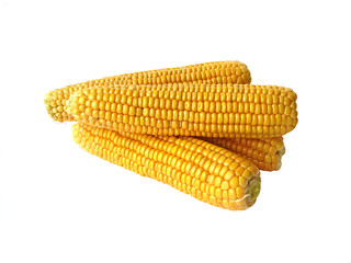Corn cobs isolated on white background