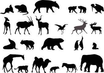wild animal detailed silhouettes, vector collection