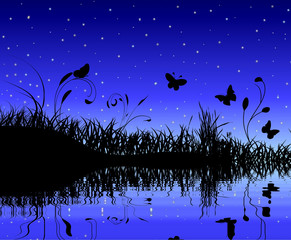Nuit étoilée