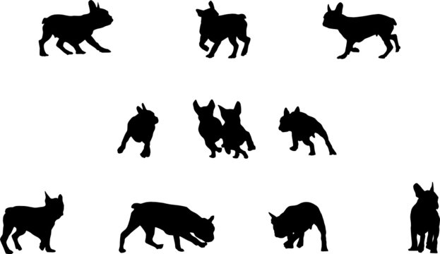 French Bulldog Playing, Vector Silhouettes