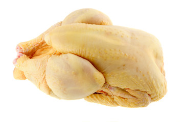 poulet cru