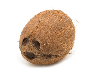 single coconut on white background