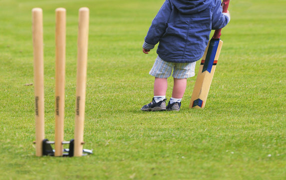 closeup outdoor cricket image