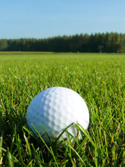 Golfball im Gras