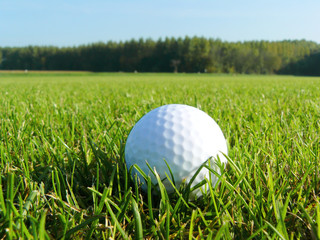 Golfball auf der Wiese