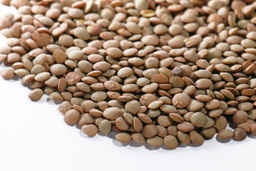Lentil in close-up