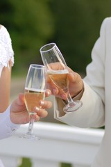 Hands of bride and fiance