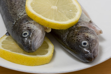 Two rainbow trouts between lemon - ready to cook. Studio shot.