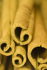Obraz na płótnie Canvas A texture of some cinnamon rolls with DOF