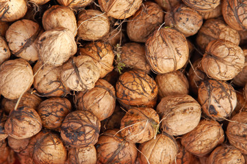 walnuts background