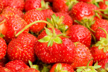 Lots of strawberries arranged as the background