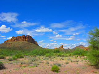 Fototapeta na wymiar Lost Dutchman State Park, Arizona