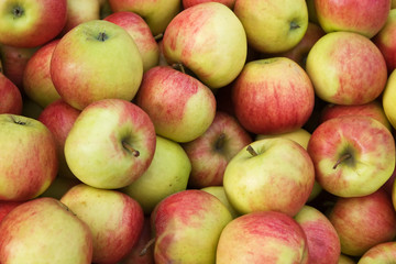 Background made of "Jonagold" apples