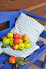 red and green apple harvest at the bench outdoor