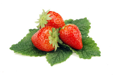 fragole