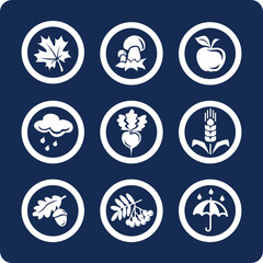 Seasons: Autumn vector icons (set 4, part 2)