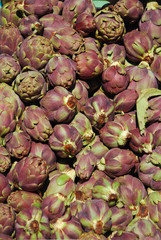 Obraz premium Artichokes