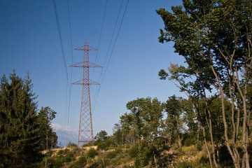 Electric pylon in the woods
