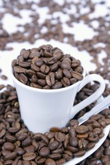 grains de café prêts à moudre