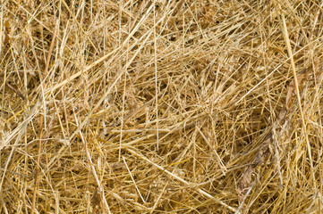 image of hay closeup