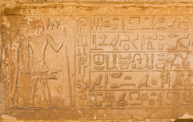 egyptian hieroglyphics from saqqarah, cairo