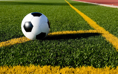 A soccer ball or football on a soccer field © Michael Flippo