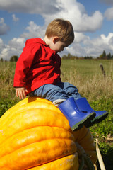 Sitting on a Pumpkin