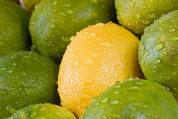 lemon lime orange fruit set close up and water drops in the set