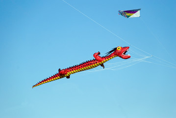 cerf-volant (dragon)