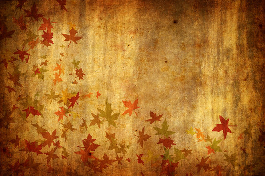 Mapple Leafs Autumn Background